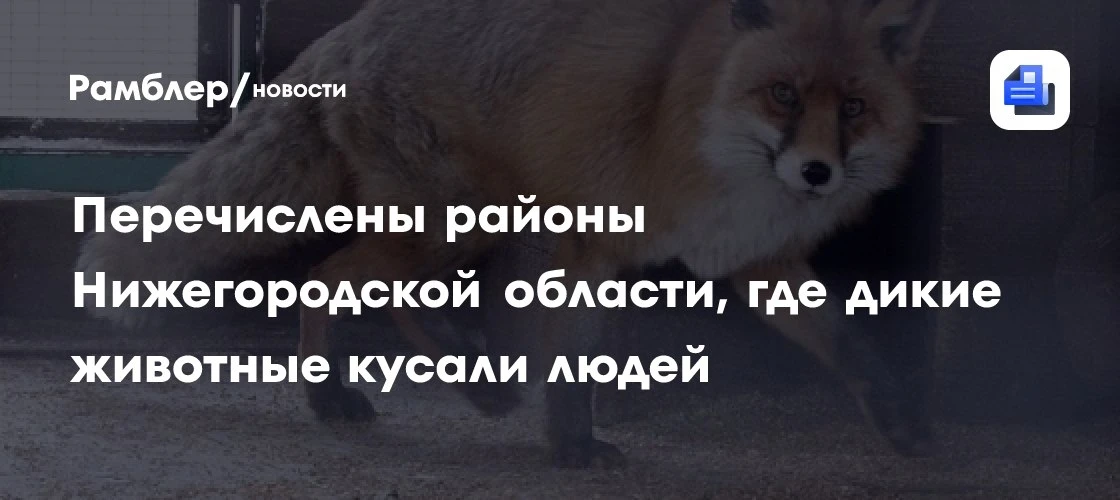 48 случаев укусов людей дикими животными в Нижегородской области 🦊