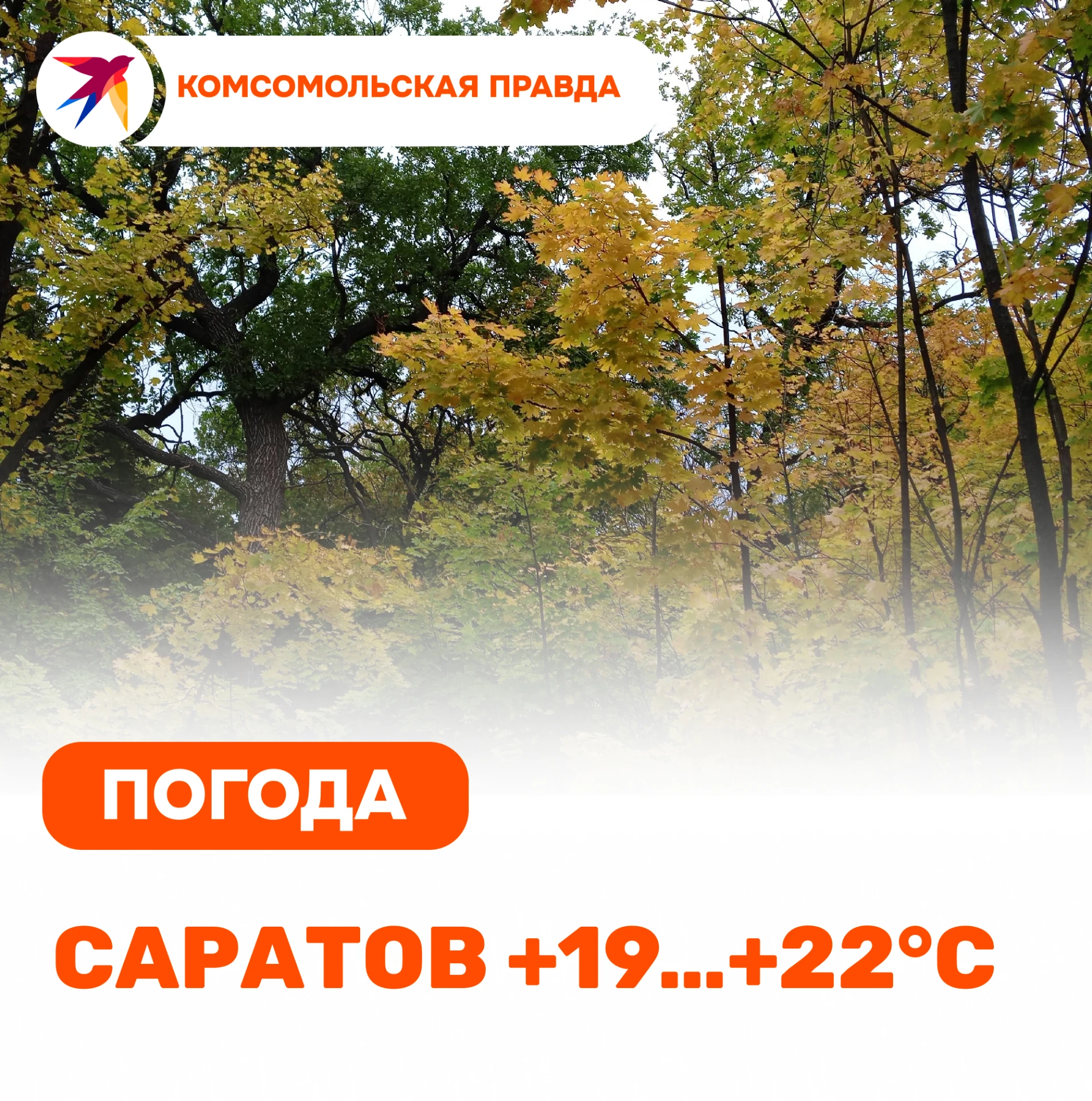 Вторник, 13 октября