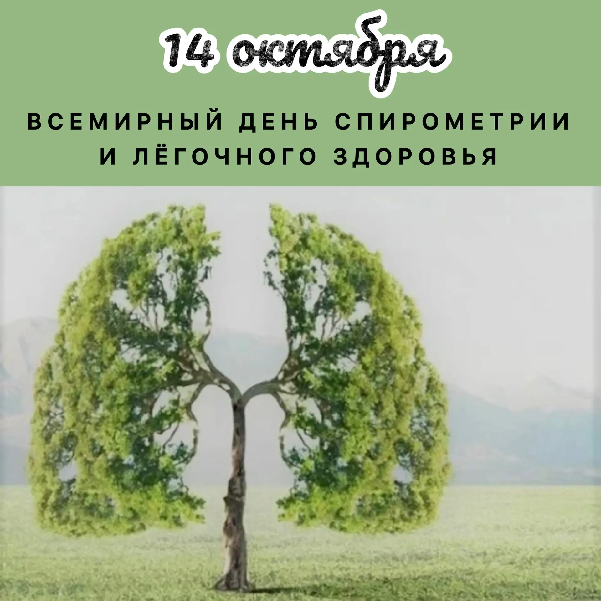 Основная цель Всемирного дня спирометрии - привлечение людей к регулярному обследованию...