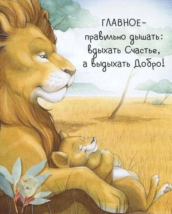 Открытки - отправь открытку❤️