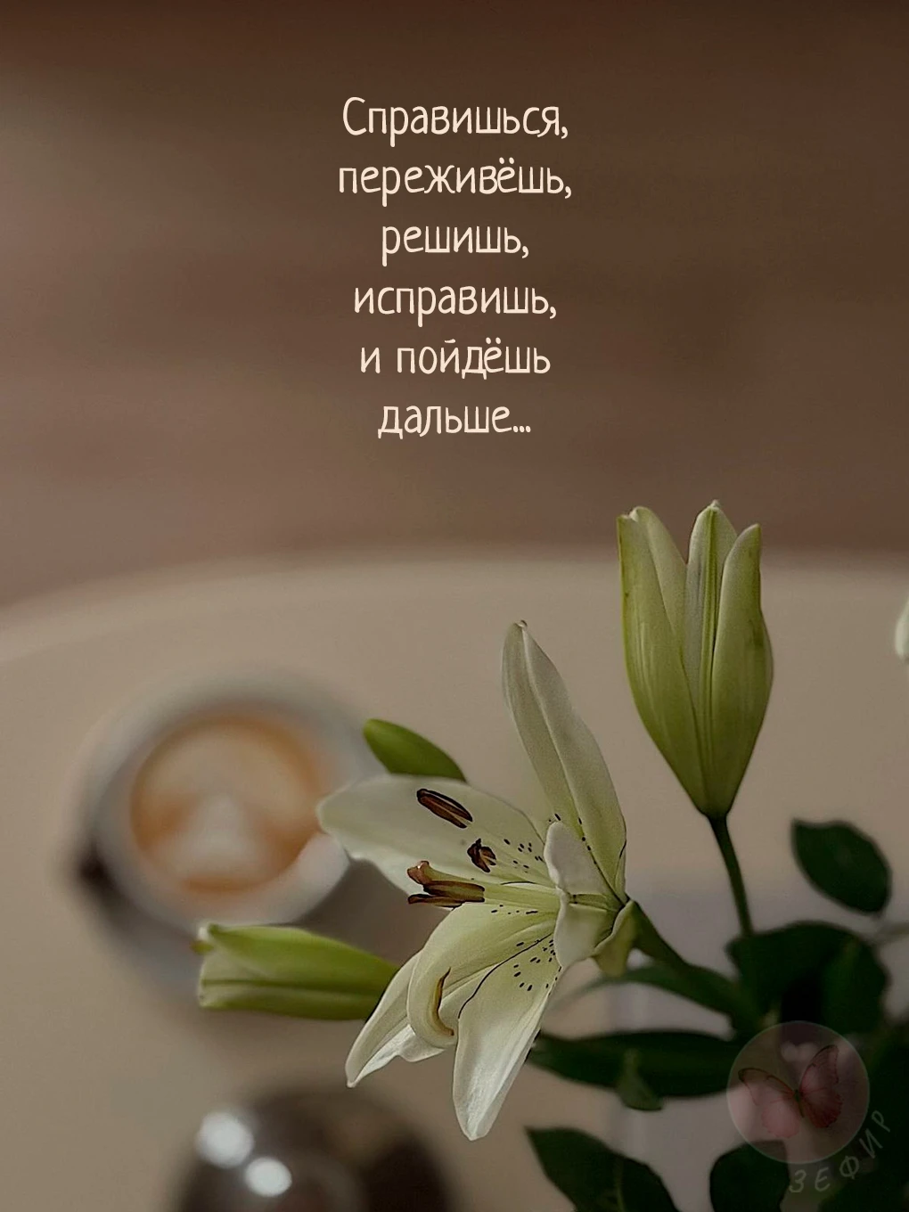 З Е Ф И Р