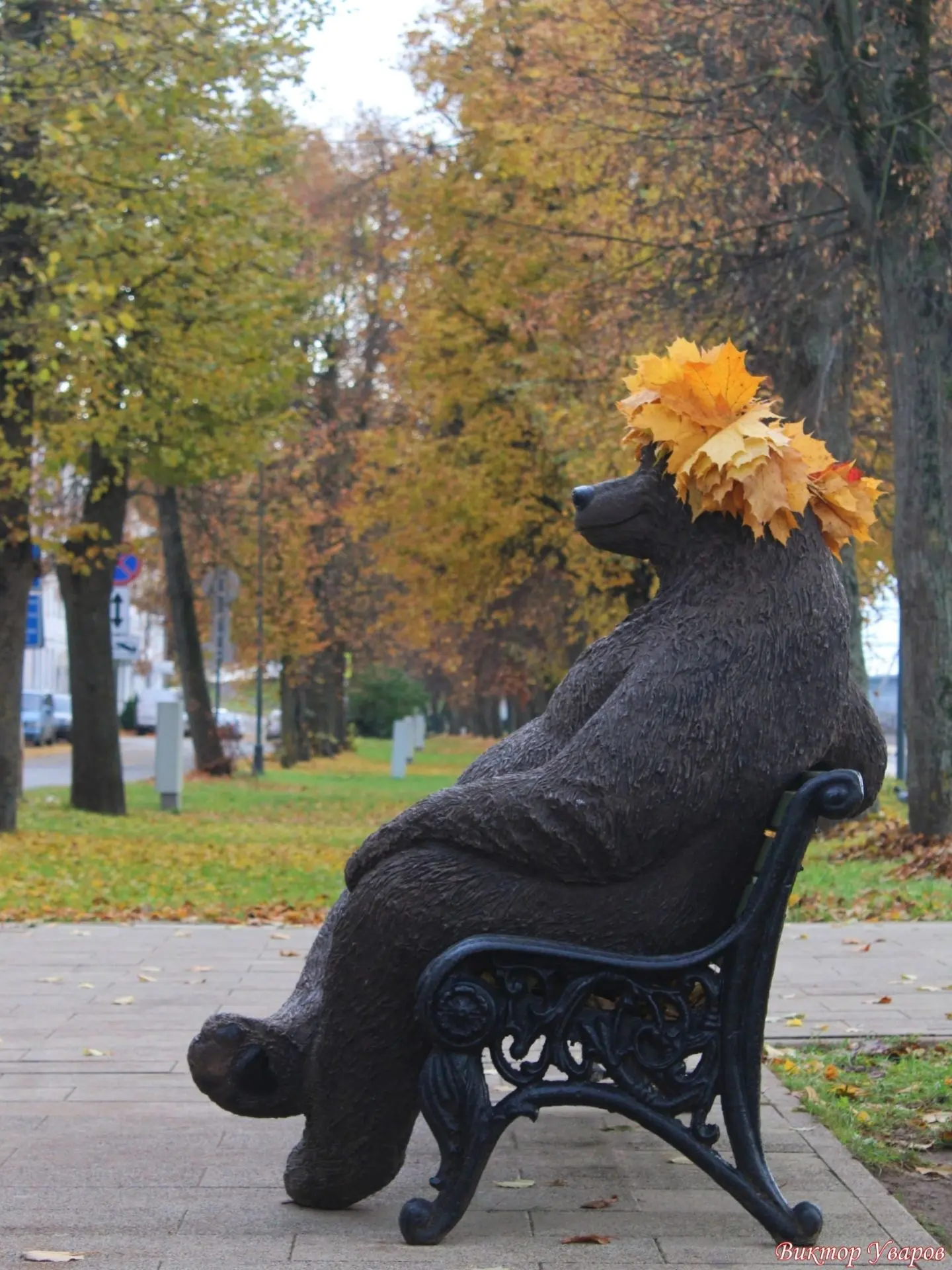 Доброе утро, друзья!