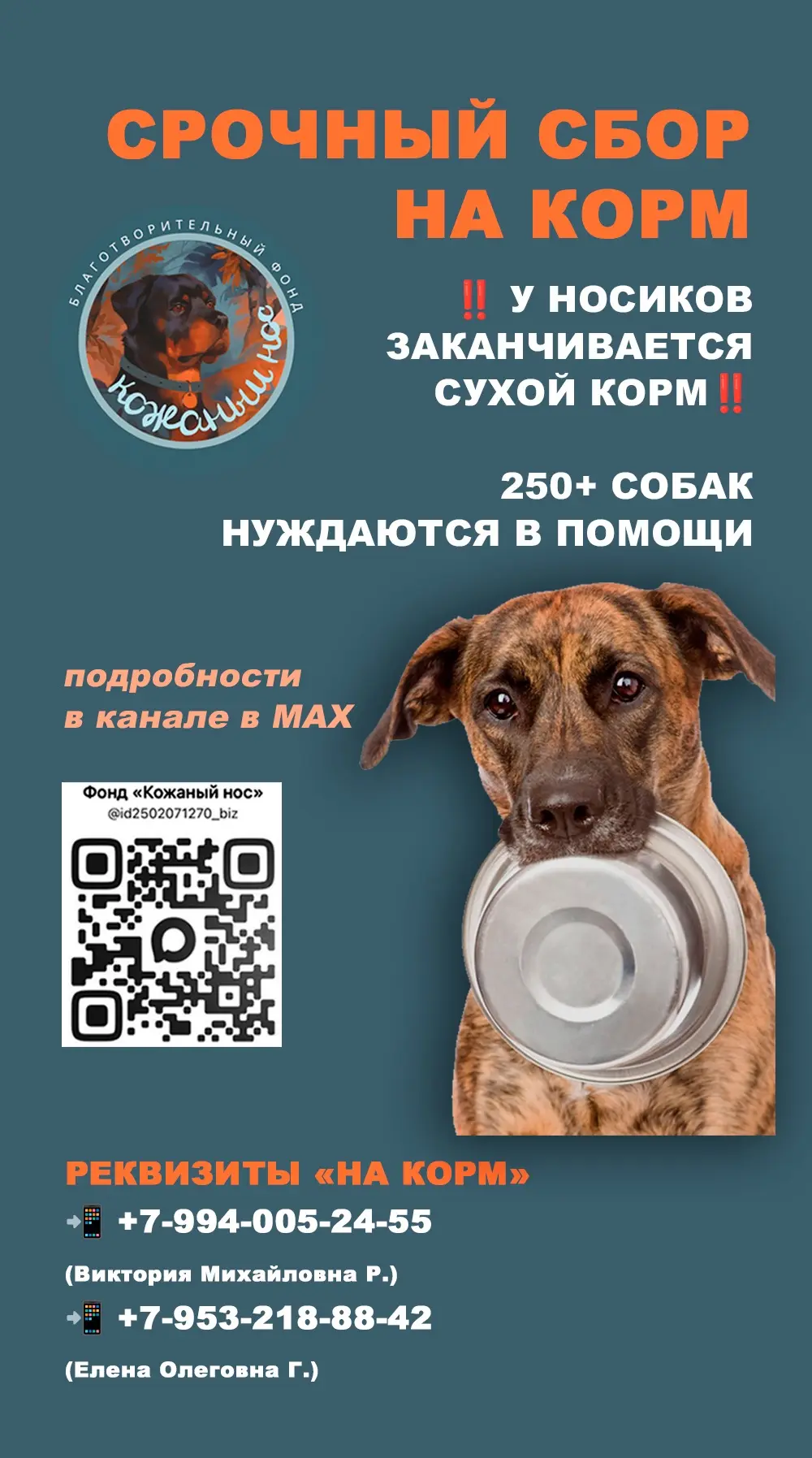 СБОР НА КОРМ 🙏  Очень нужна помощь❗️