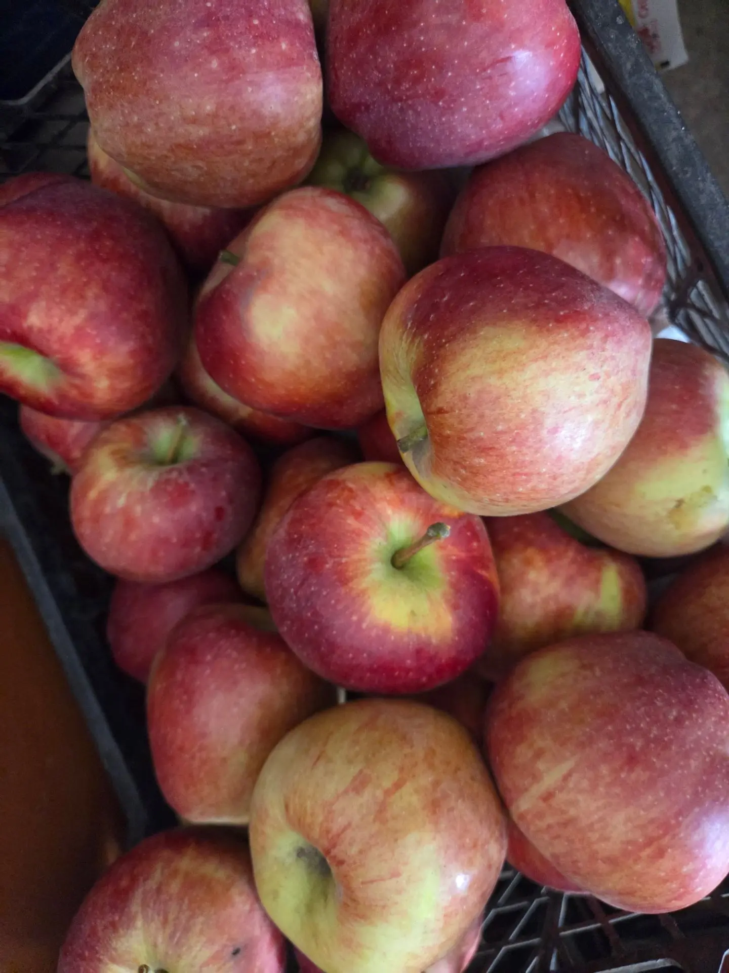 Продам яблочко 🍎.  70 р/ кг. 89180869397