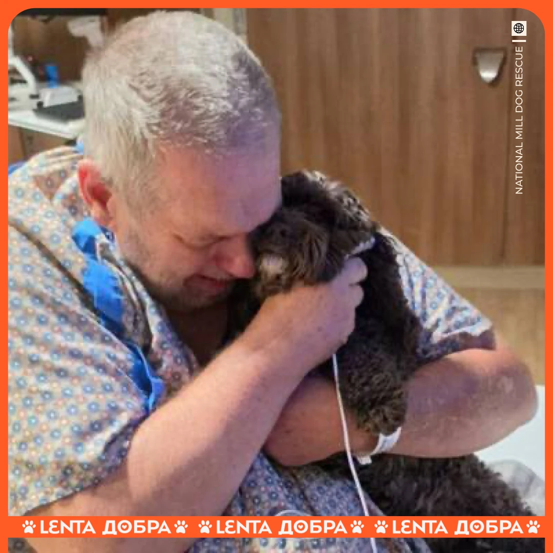 🐶 Собака помогла хозяину вовремя узнать о серьёзной болезни.
