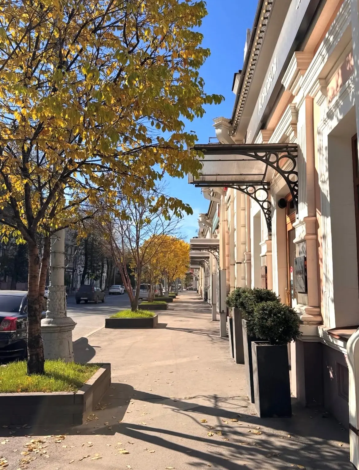 ☀️ Доброе утро! Карла Маркса, осень 🍂