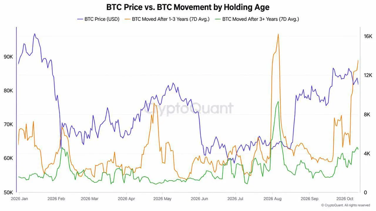 📊 В движение резко пришли BTC, которые лежали без движения от 1 до 3 лет
