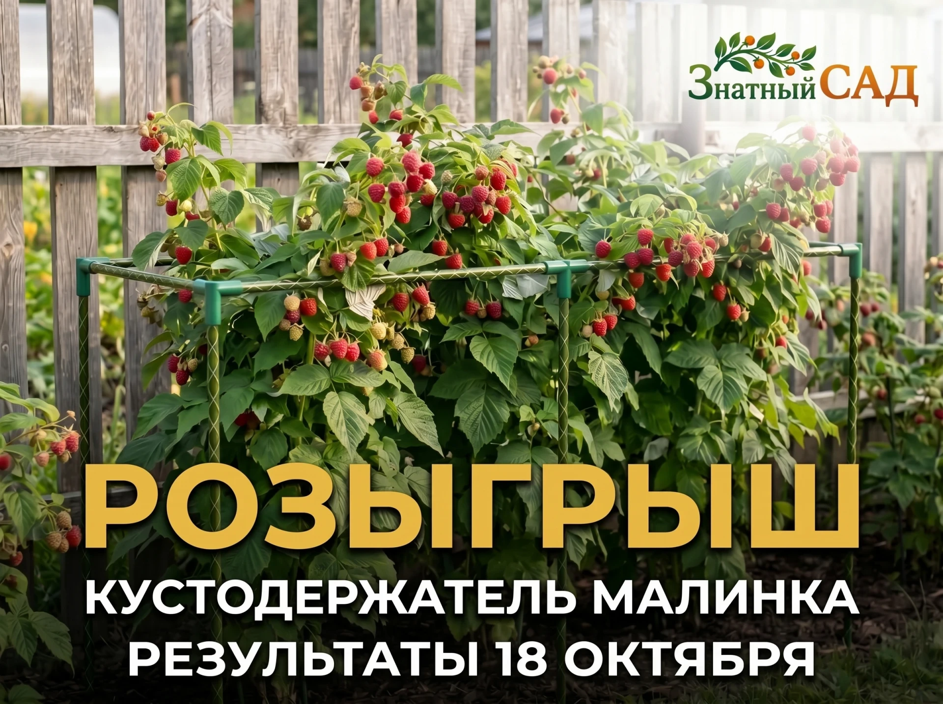 🎁 РОЗЫГРЫШ: НА ЭТОЙ НЕДЕЛЕ РАЗЫГРЫВАЕМ «МАЛИНКУ»