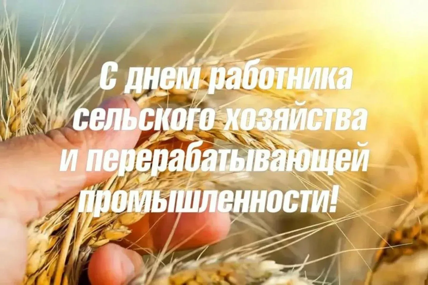Уважаемые труженики села, работники агропромышленного комплекса и перерабатывающей пром...