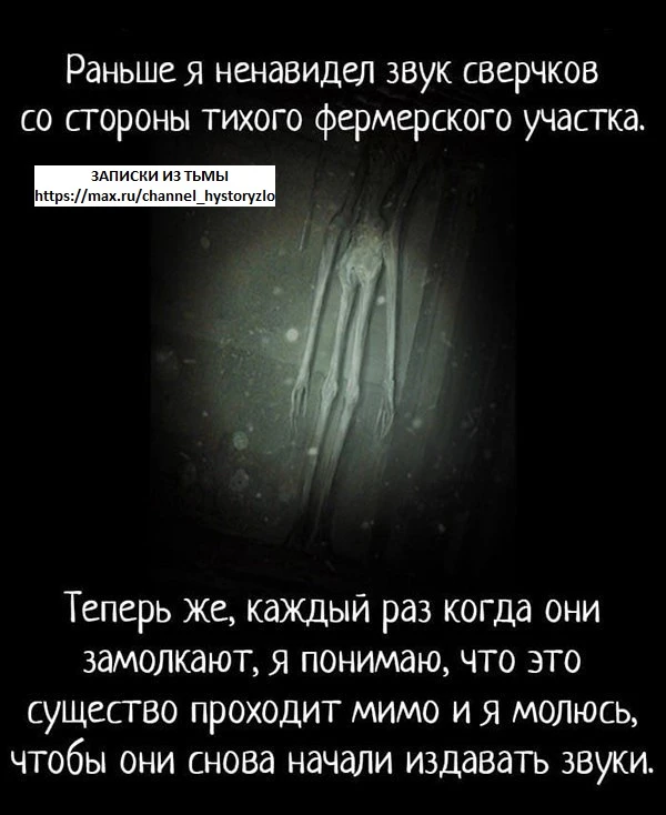 Фотоистория №4