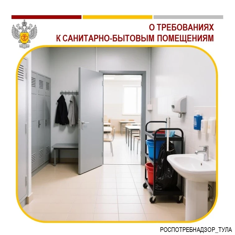 🧼 Новые санитарные правила для условий труда