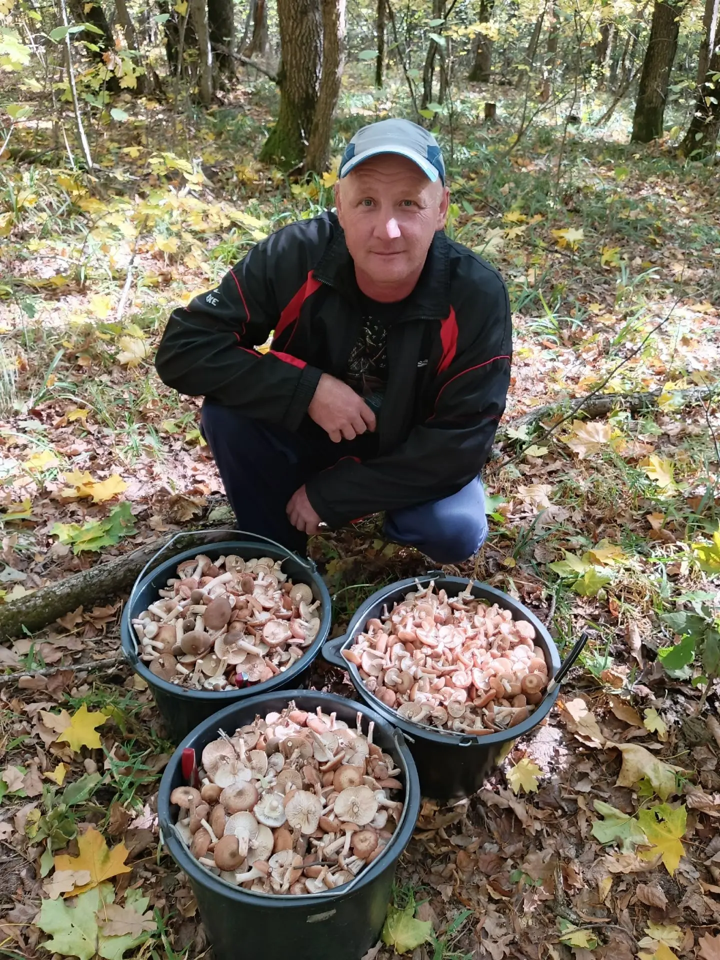 Набрали 60л опят. И бонус ввиде подосиновиков. Белгородская область.