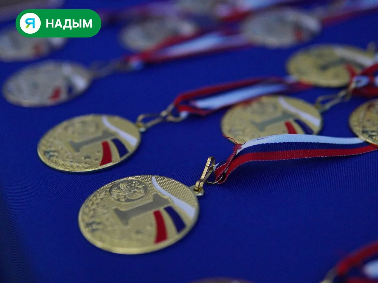 🤸‍♀ В спортивной школе «Лидер» завершились муниципальные соревнования по художественно...