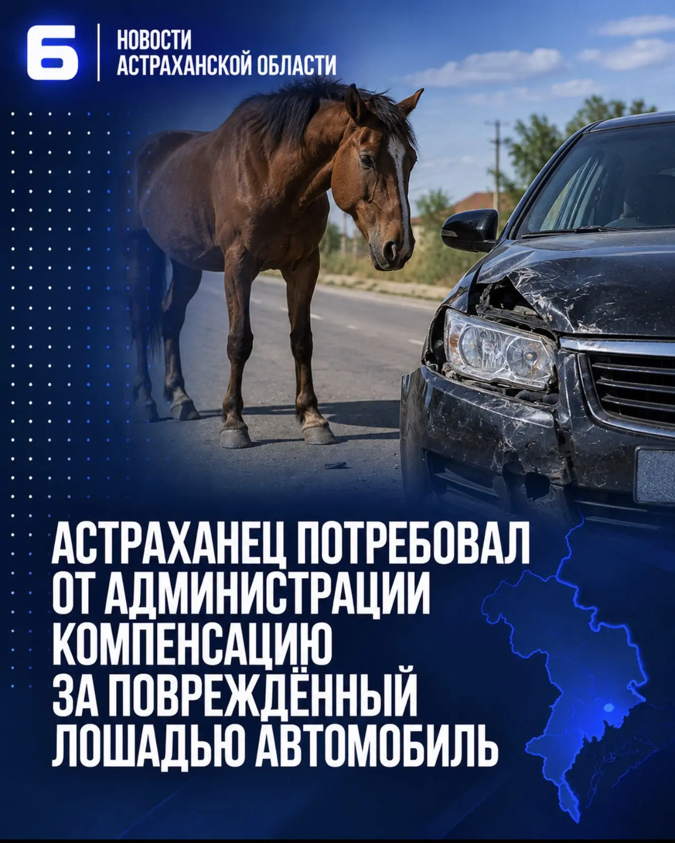 Астраханец потребовал от администрации компенсацию за повреждённый лошадью автомобиль