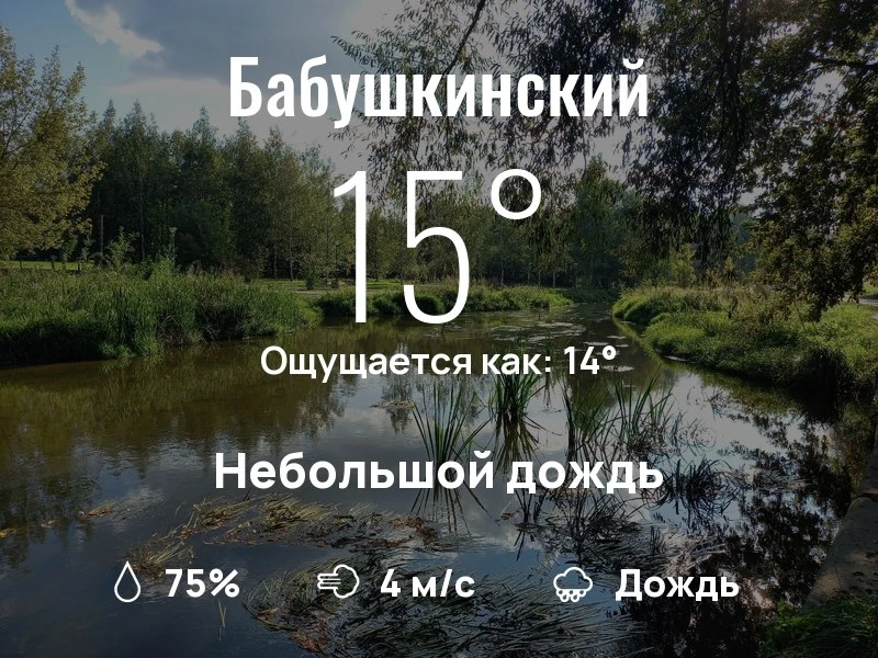 Что с погодой в Бабушкинском?