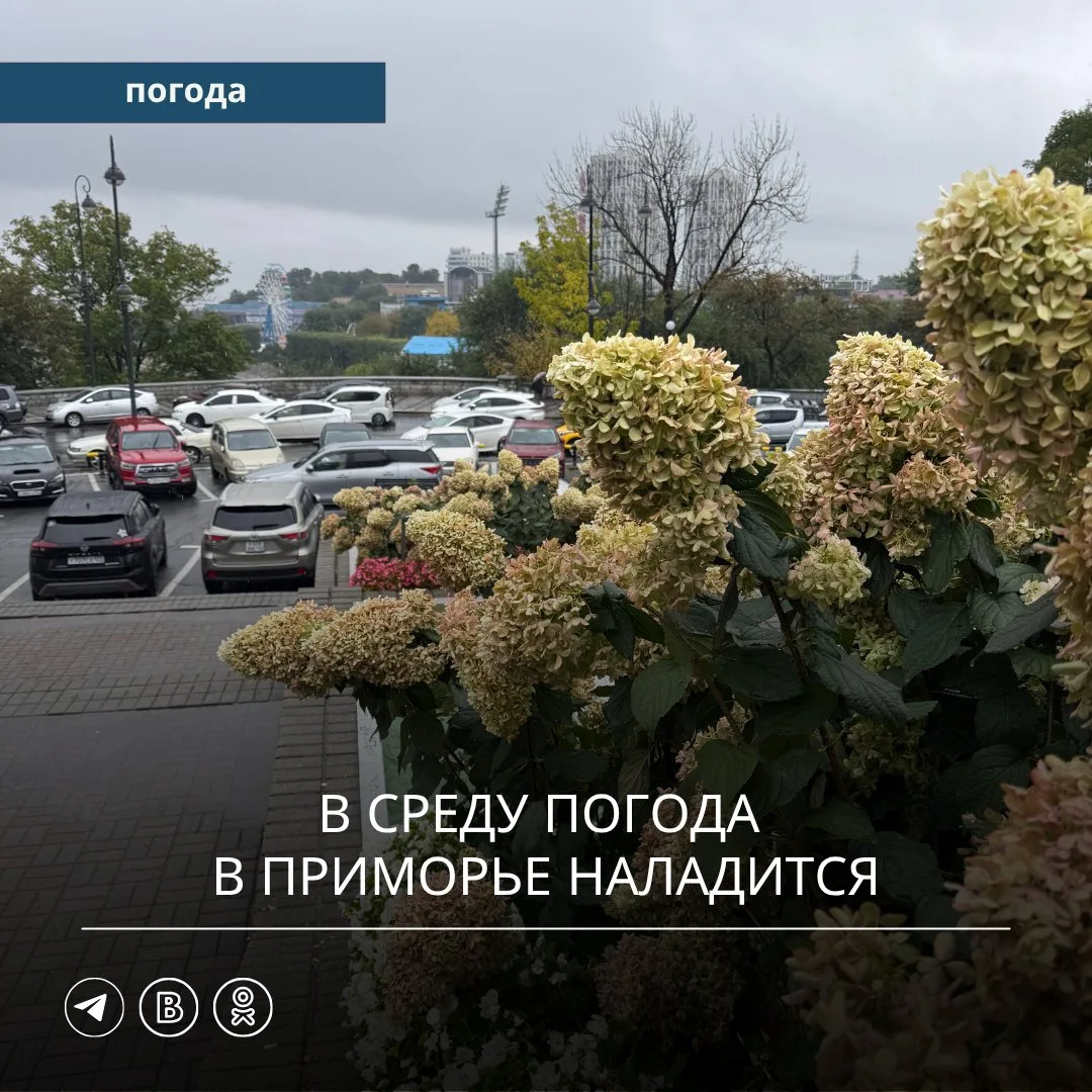 🌀 Сегодня, 13 октября, Приморский край окажется под влиянием активного циклона. Дожди ...