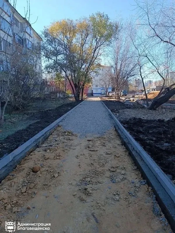🌳 В Благовещенске благоустраивают сквер на Василенко