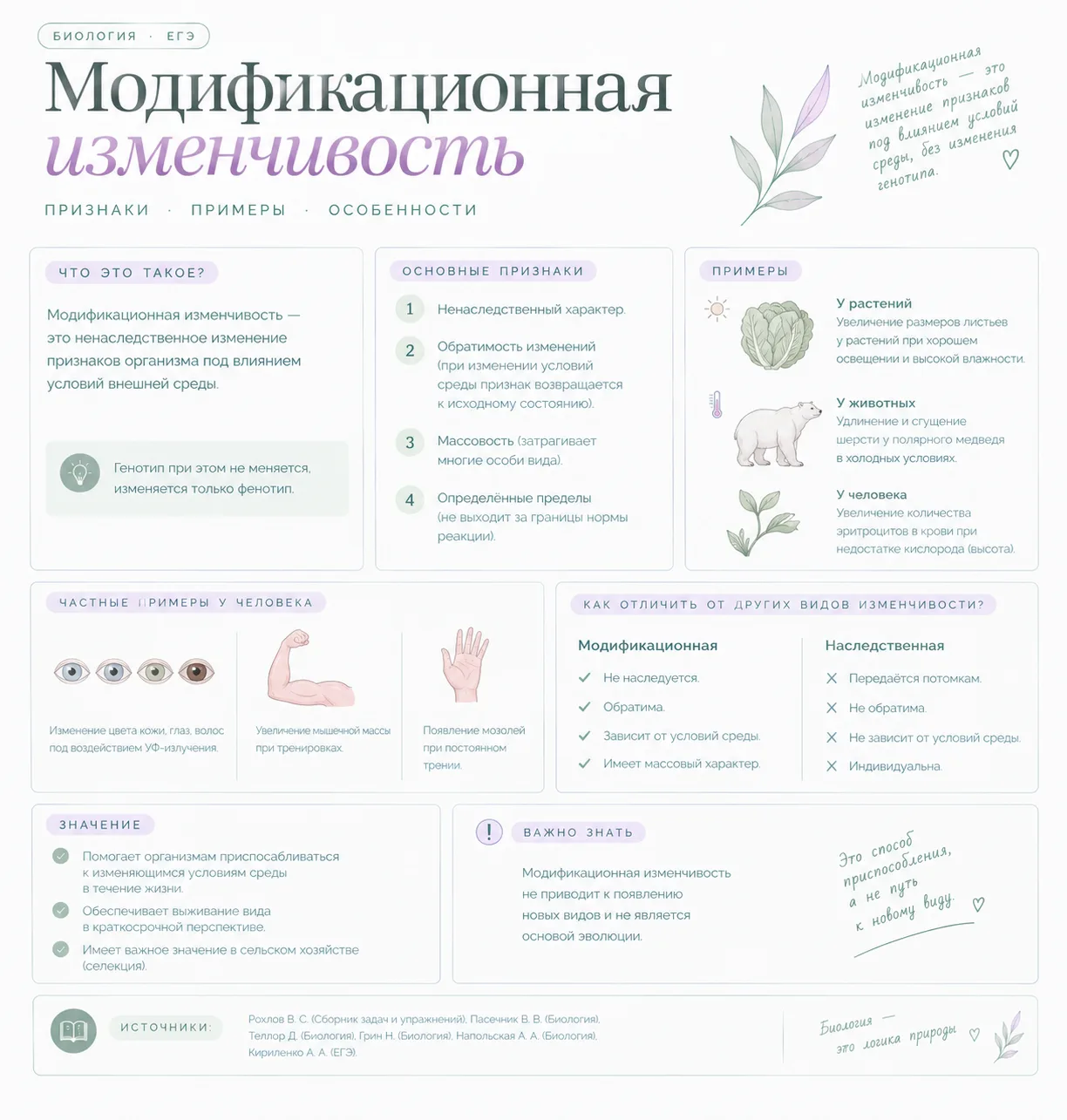 МОДИФИКАЦИОННАЯ ИЗМЕНЧИВОСТЬ ☀️