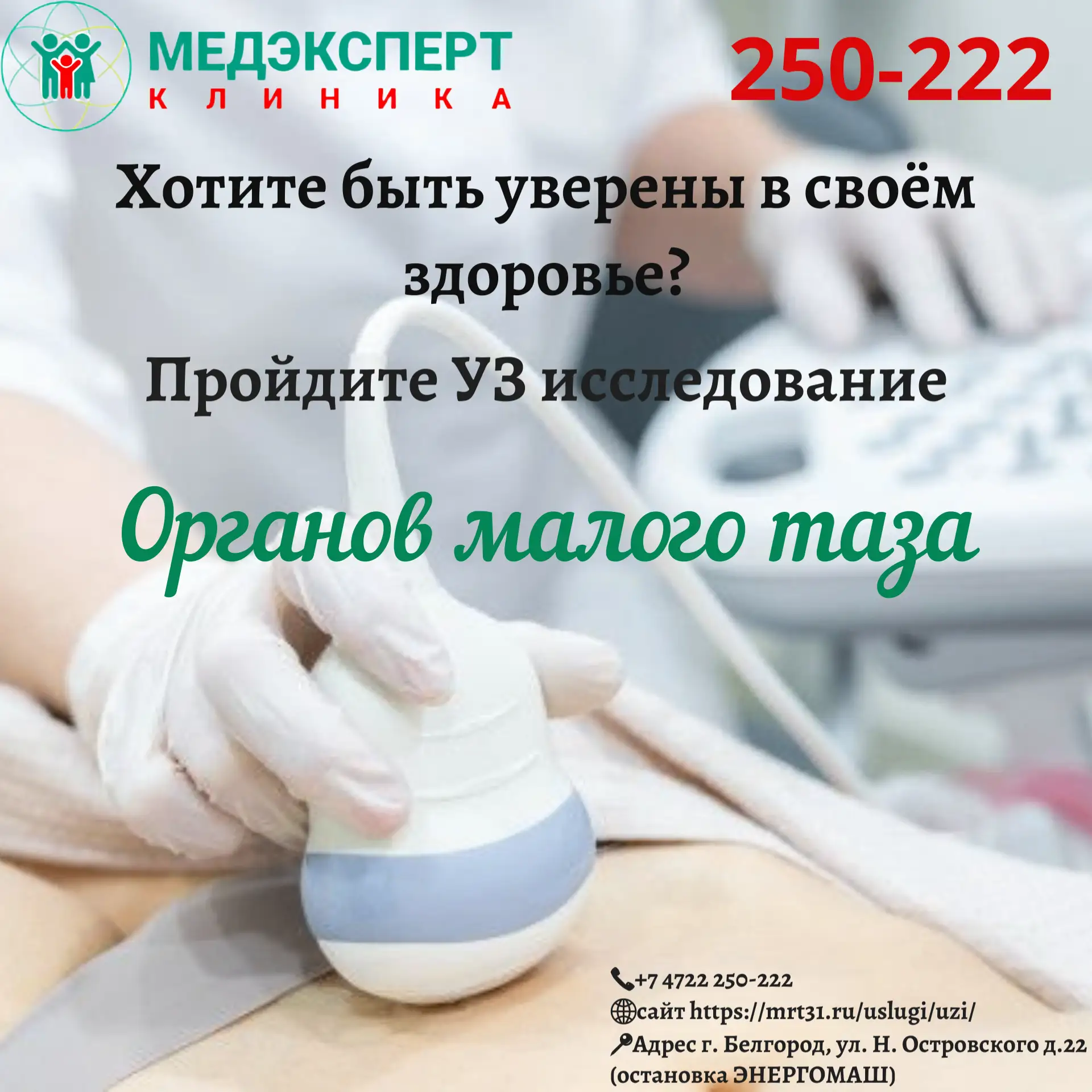 УЗИ органов малого таза у женщин: