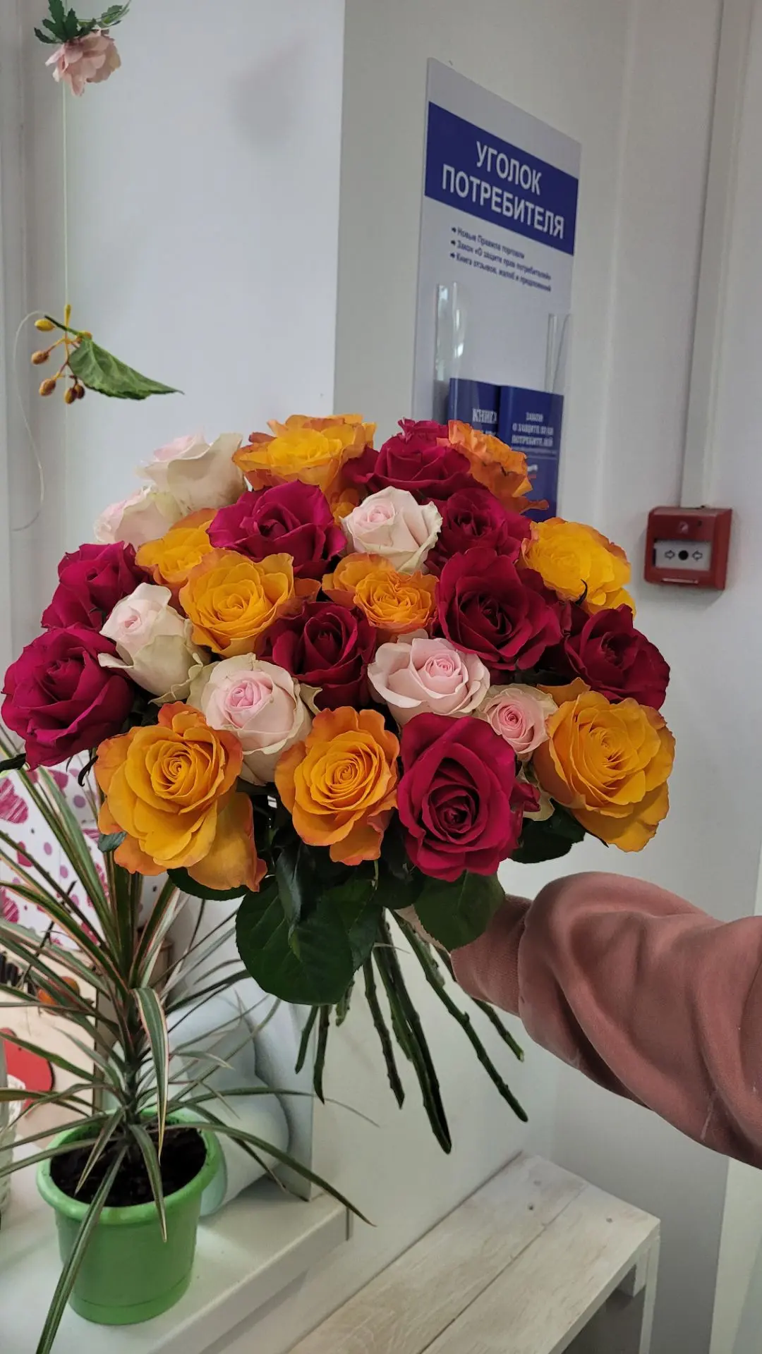 Микс цветов 💐