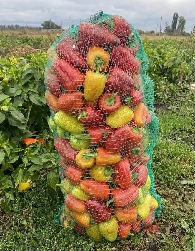 A вoт и нaш cкpoмный ypoжaй из пepцeв.😊😊😊