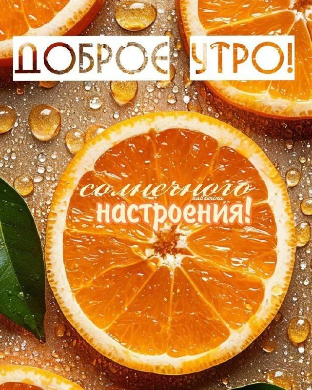 Доброе утрышко ☀, Пчёлки 🐝