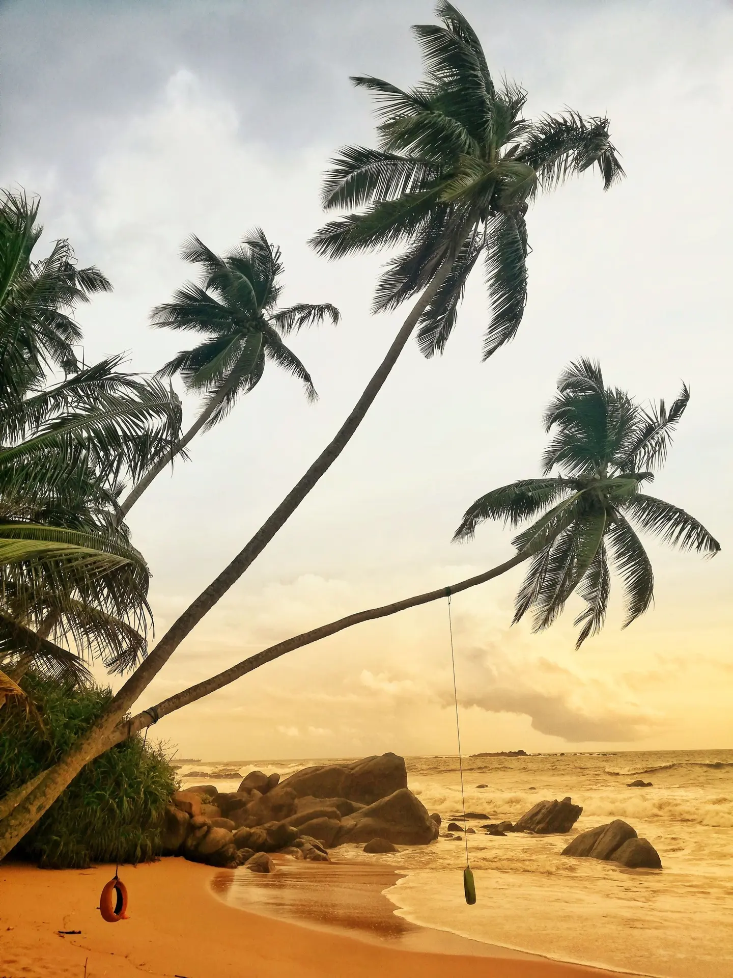 🌴 Шри-Ланка в ноябре: боитесь ошибиться с побережьем?
