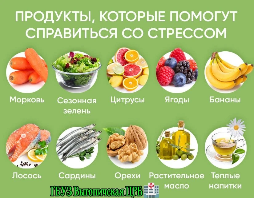 🧠Питание для мозга: ось кишечник — мозг