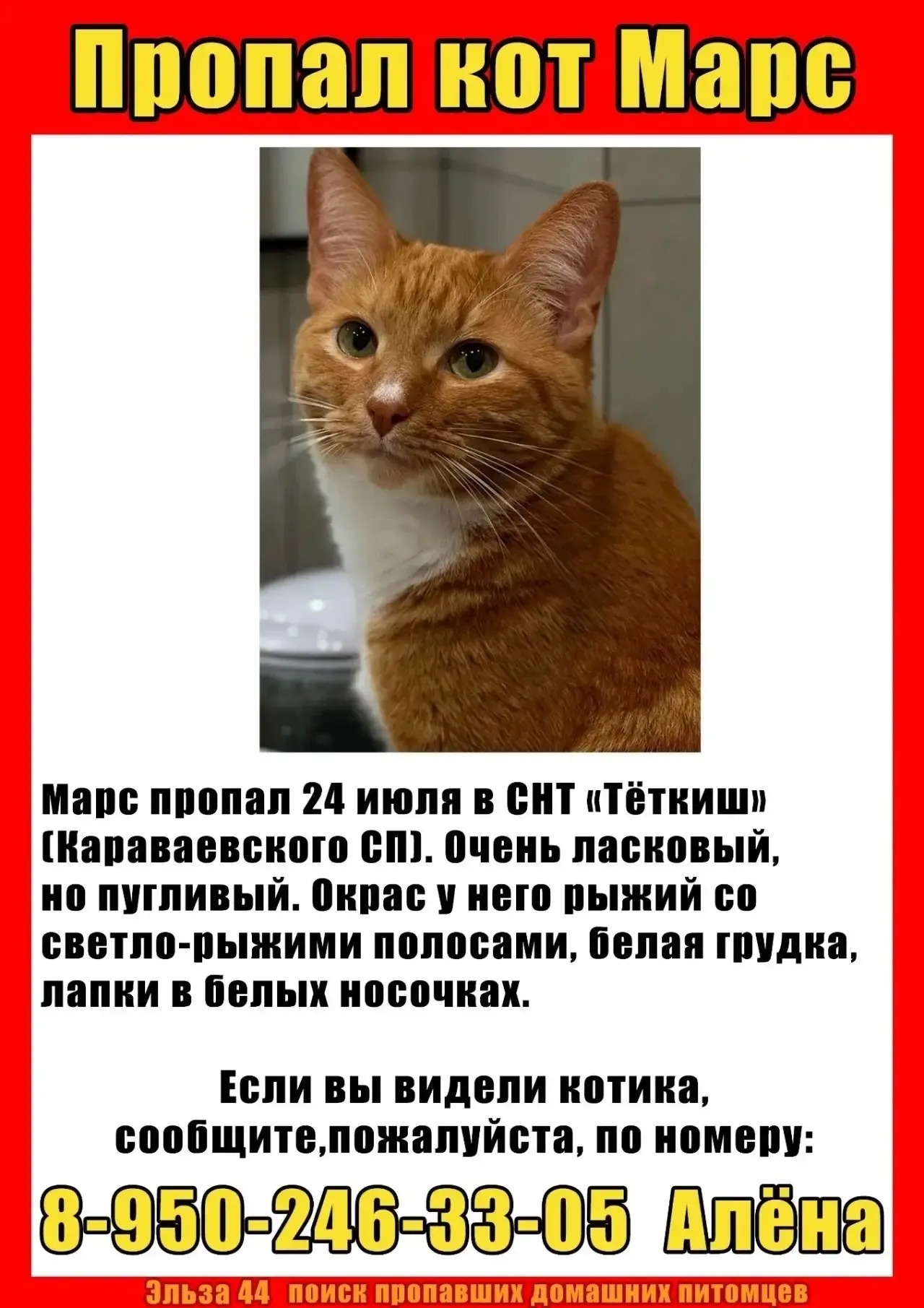 ВК: vk.com/chat_kostroma