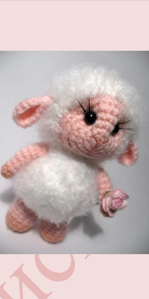 Малютка овечка 🐑