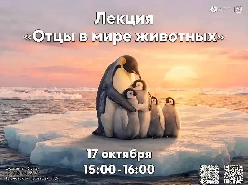 🎨 Лекция «Отцы в мире животных» пройдёт 17 октября