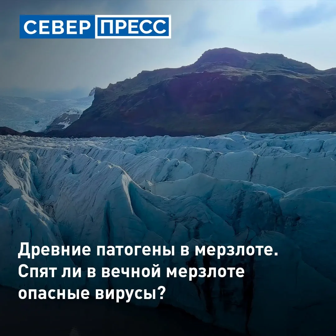 Под вечной мерзлотой на Ямале могут сохраняться опасные древние микроорганизмы, вирусы ...