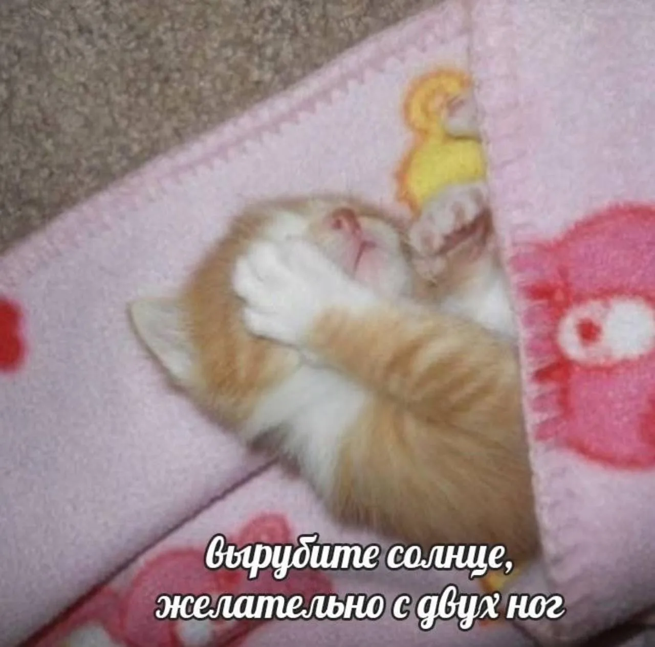 Мемы каждый день • Подписаться