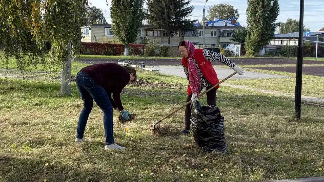 🍂 Чистота начинается с нас! 🧹✨