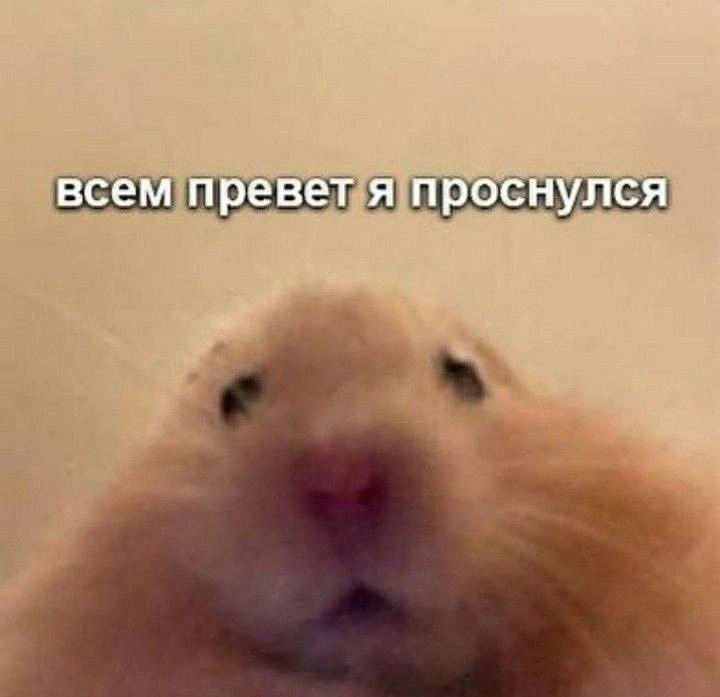Шутка, одмэн проснулся
