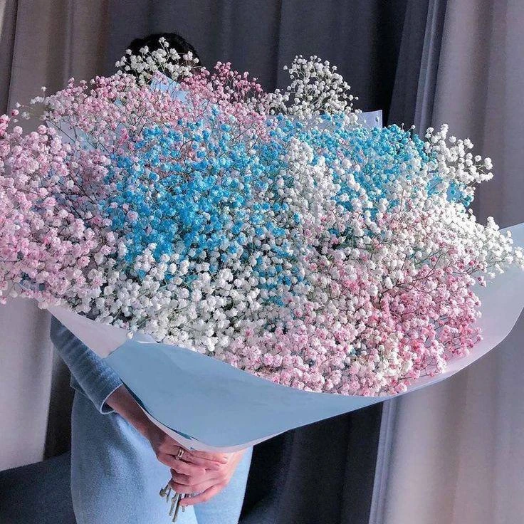 @drygtl