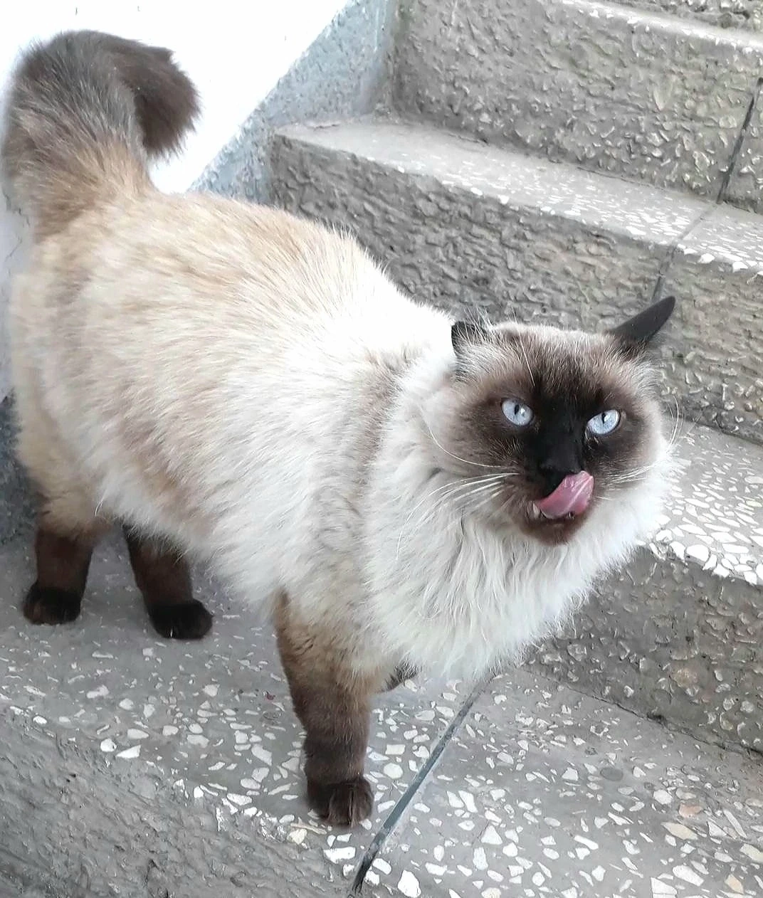 ХОЗЯИН, ОТЗОВИСЬ!!!