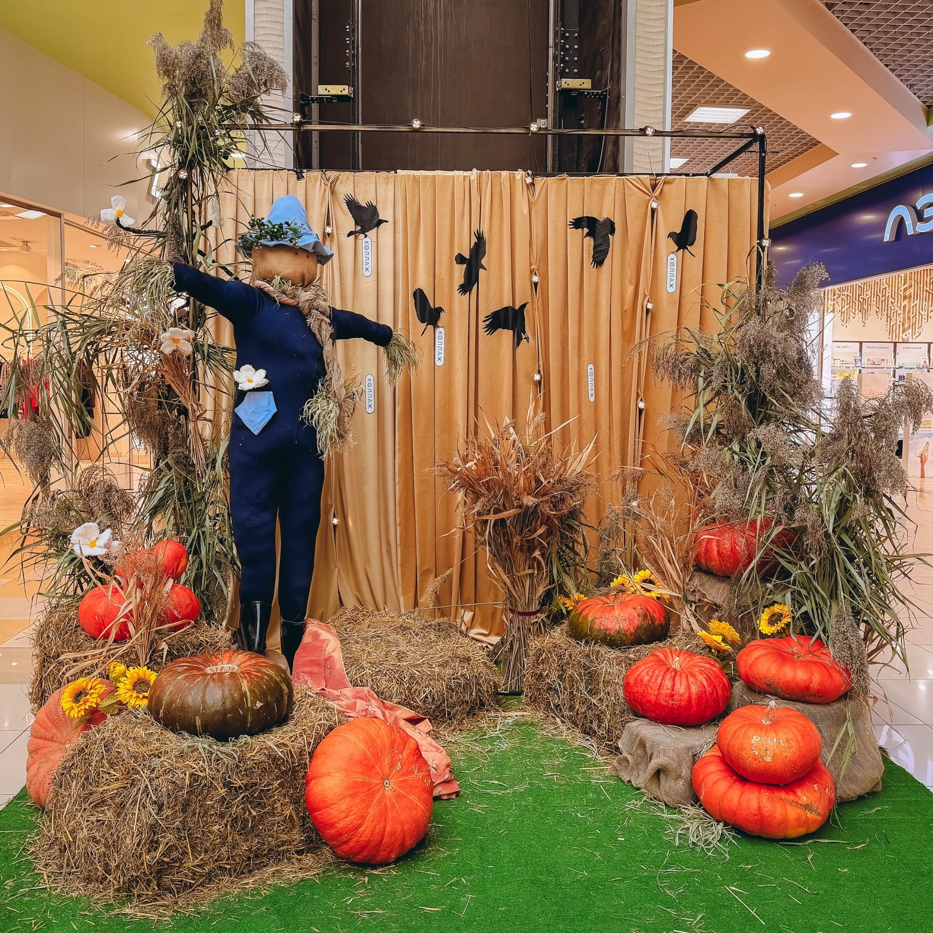 Смотрите, какую волшебную фотозону мы приготовили на фестиваль 🎃 Приходите завтра и по...