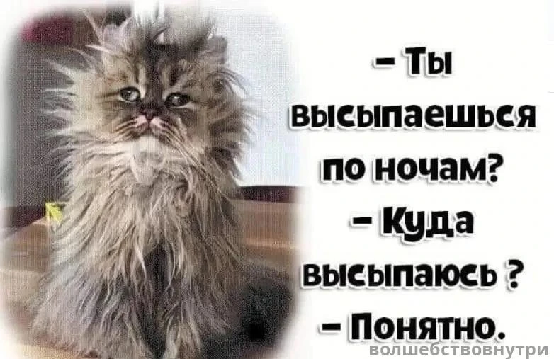 Это я сегодня с утра …
