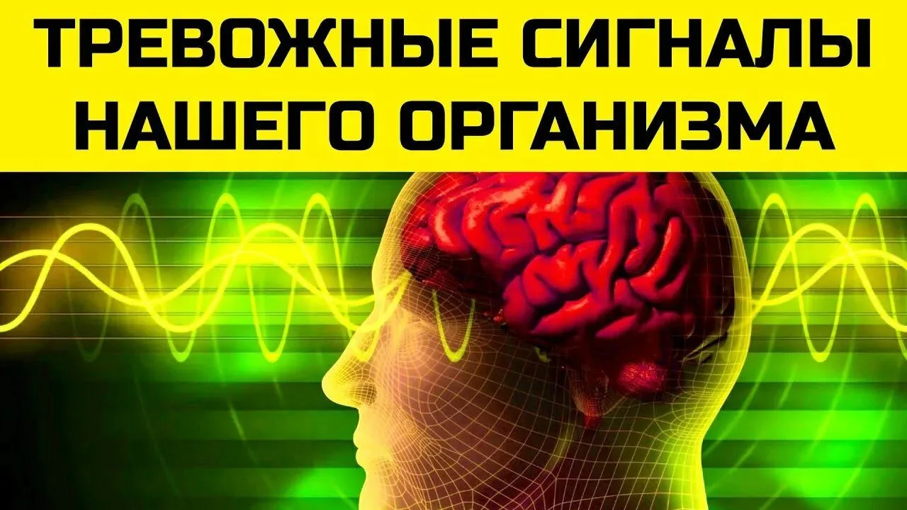 Есть симптомы, которые нельзя игнорировать — они могут сигнализировать о серьёзных проб...