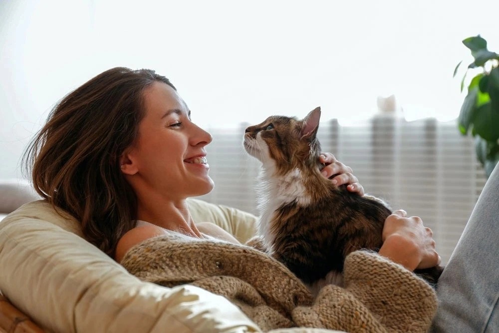 😸😾 Кошачий язык без переводчика: о чём говорит ваш питомец
