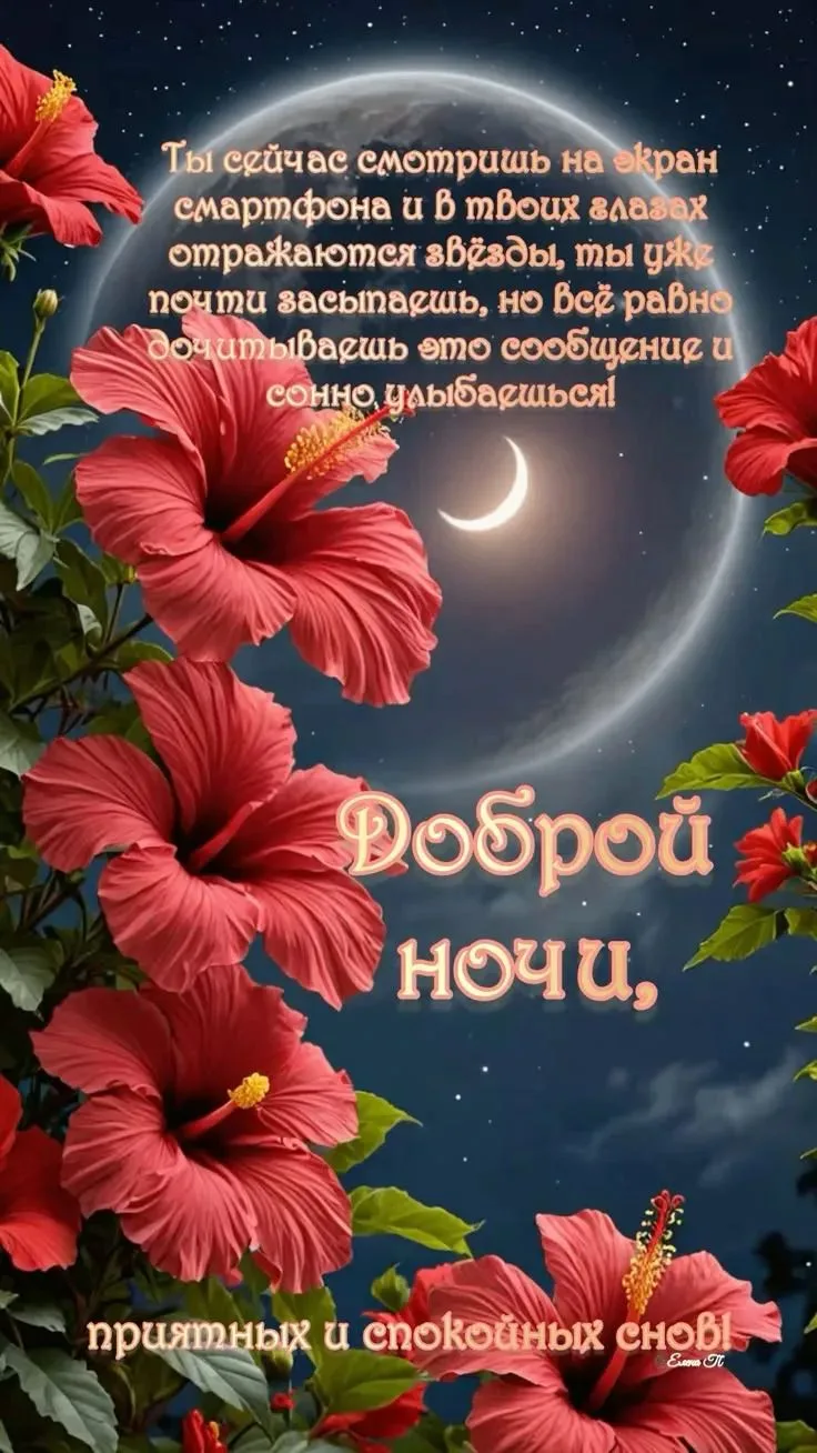 Доброй ночи✨🌙