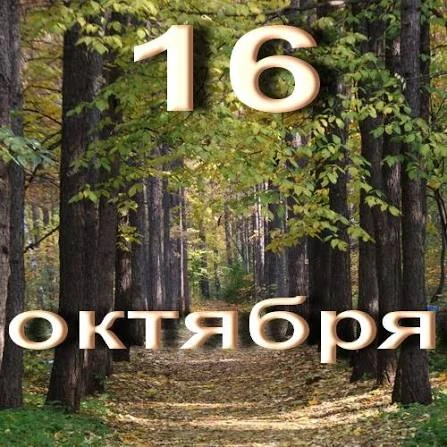Международные и всемирные праздники