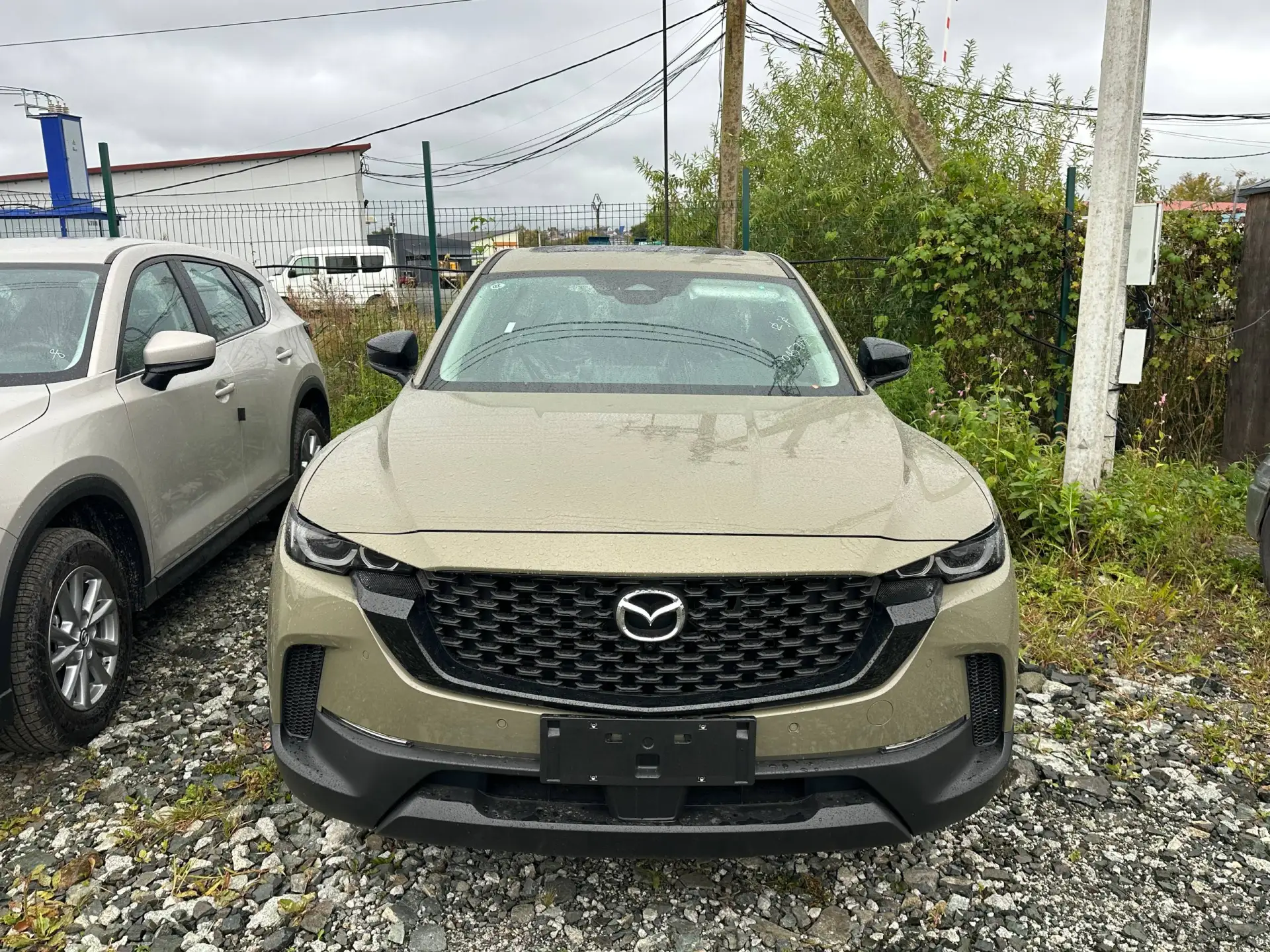🌐  Передали в транспортную компанию во Владивостоке новую Mazda CX-50 Leading Edition ...