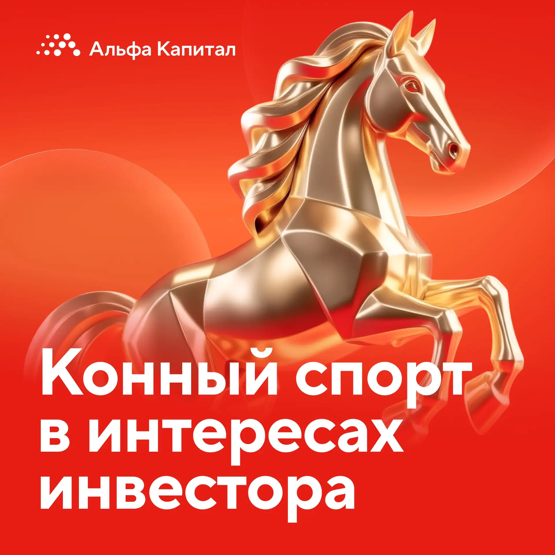 🏇 Вы знали, что конный спорт не только эстетская забава аристократов, но и одна из ста...