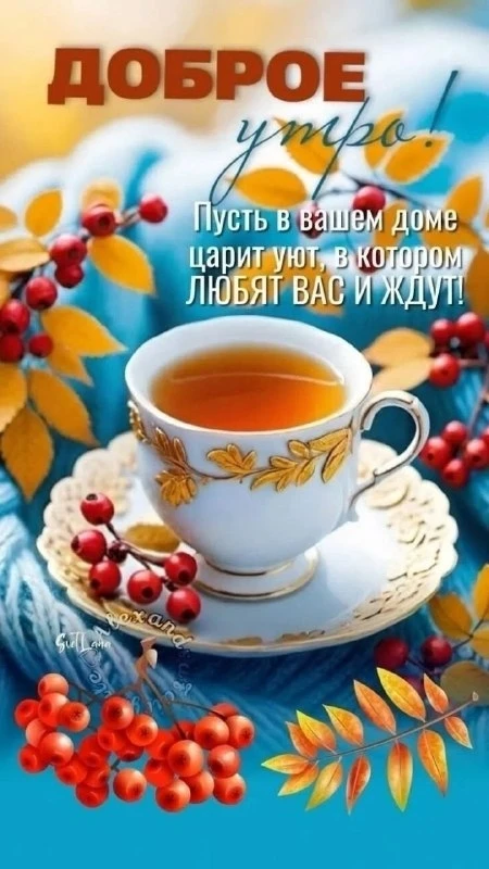 Открытки: подписаться ❤️