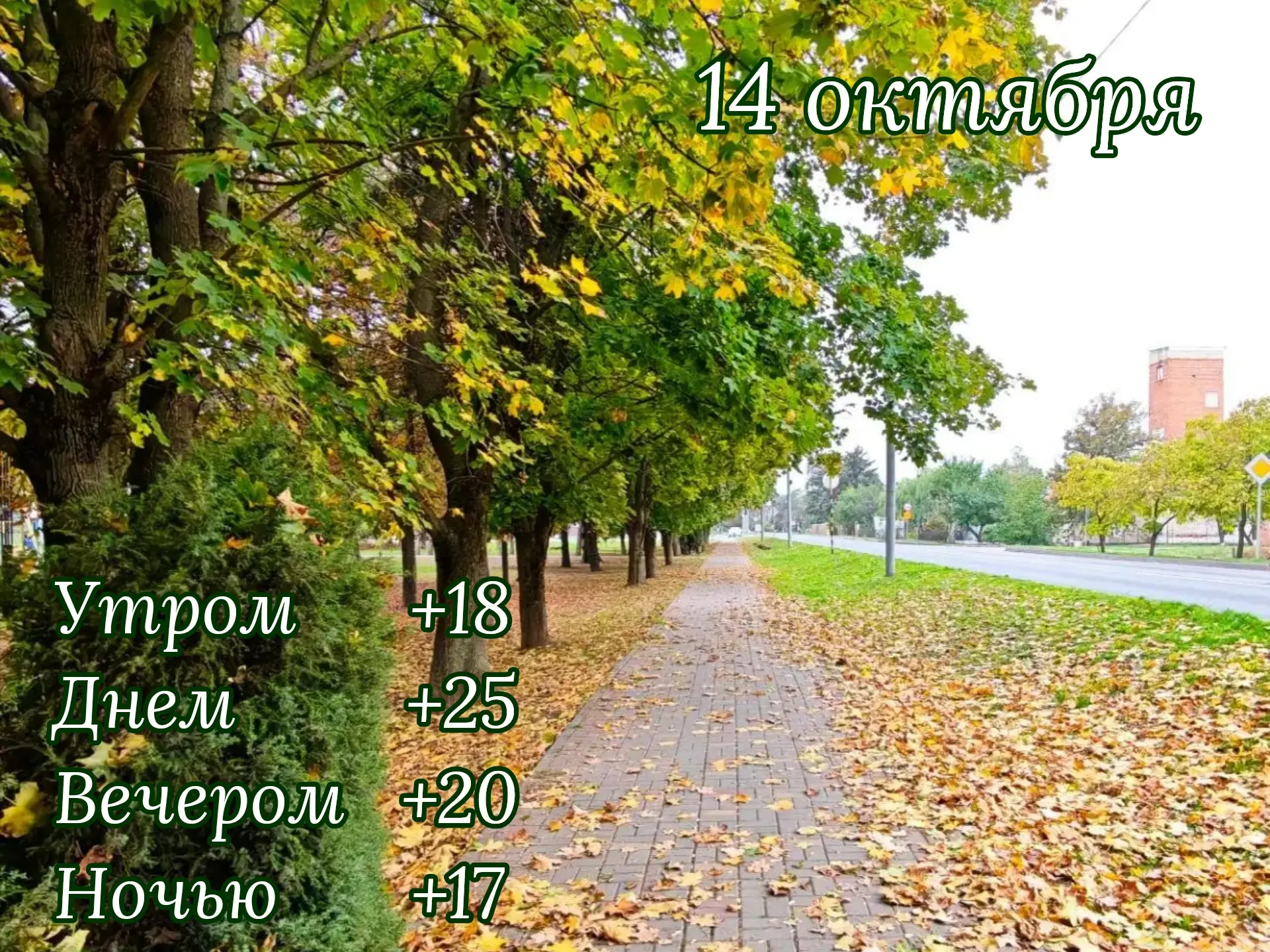 Доброе утро!