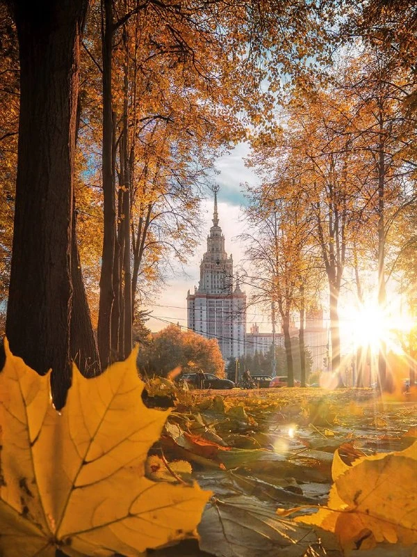 🍁 Осень в Москве — лучшее время для прогулок, и мы нашли готовый маршрут из 15 атмосфе...