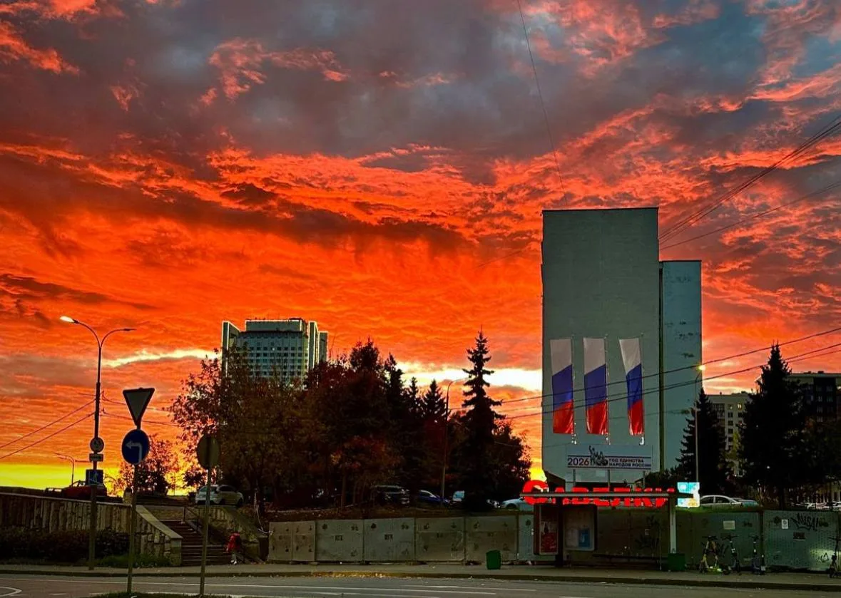 🌅 Невероятно красивый закат в Зеленограде