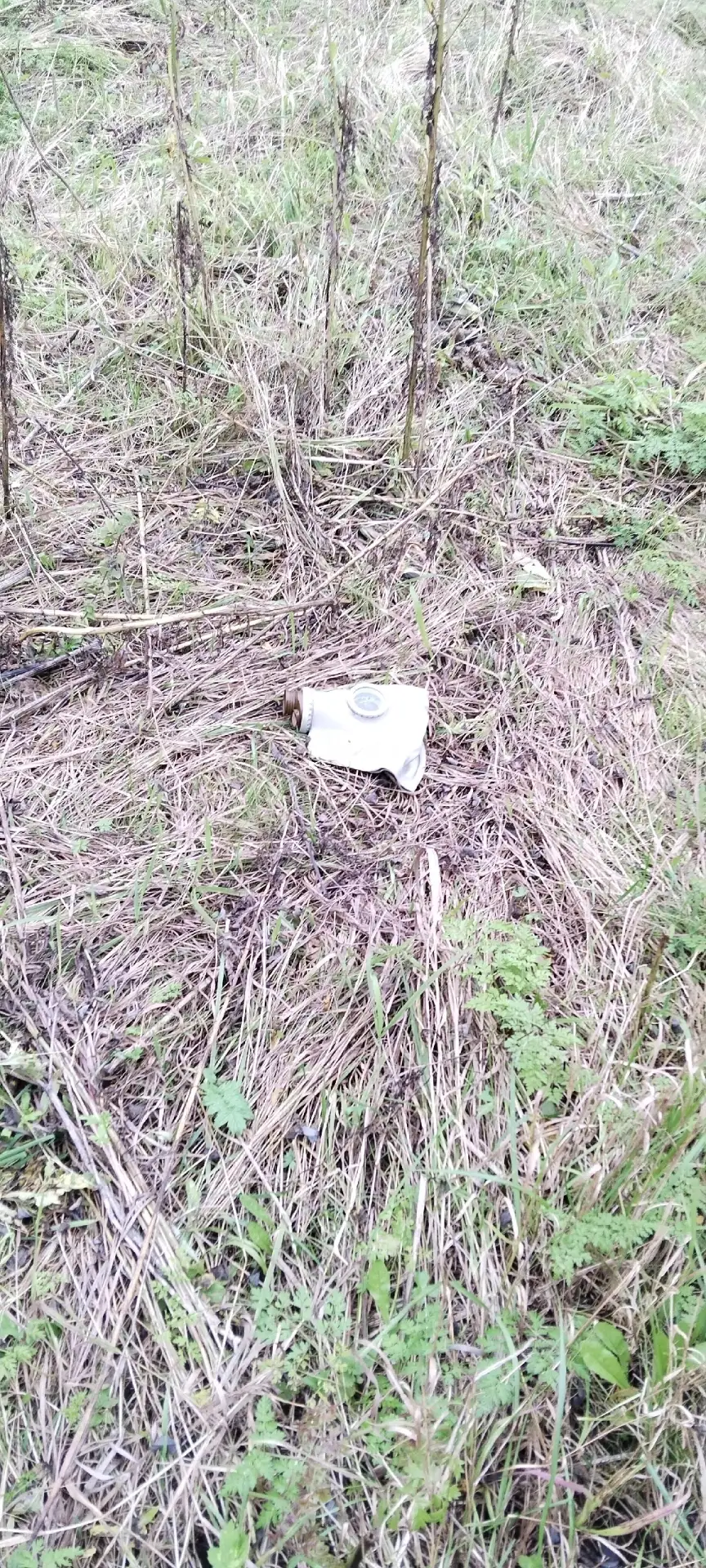 Чего только не найдешь на обочинах в городе